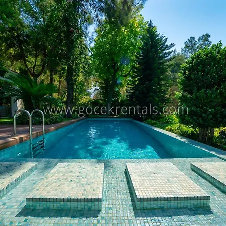 فيلة Luxurious Forest In Gocek - Pine *